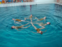 Showschwimmen Mermaiding Event Luzern 2017